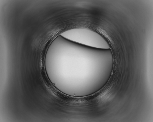 X0000087310541200704200720