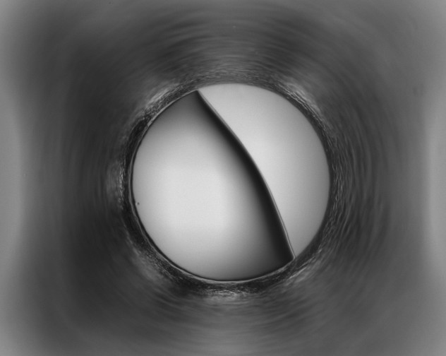 X0000087310542200704200720