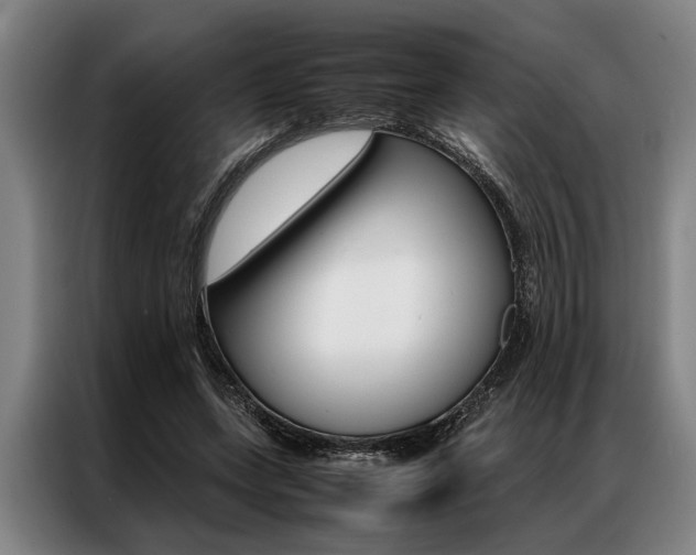 X0000087310543200704200720