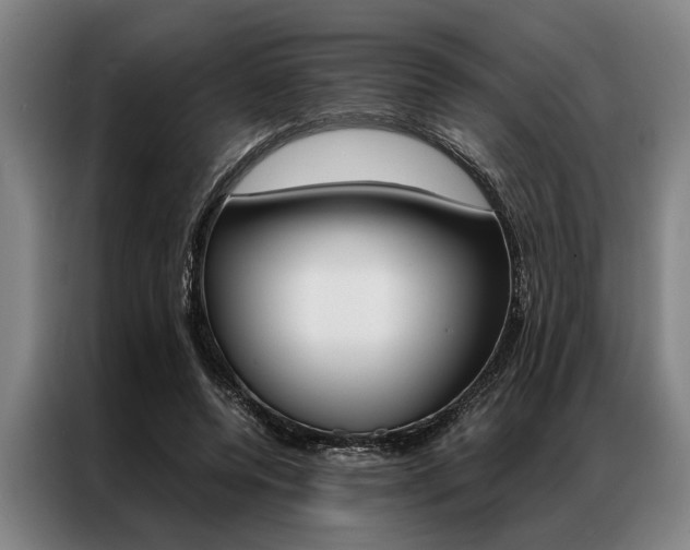 X0000087310544200704200720