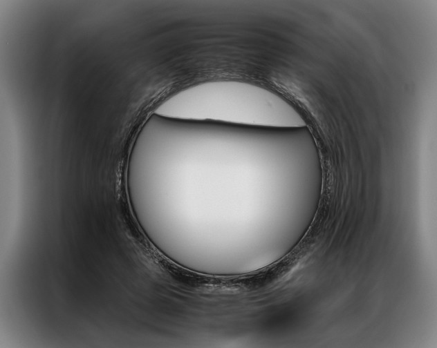 X0000087310545200704200720