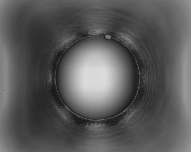 X0000087310546200704200720