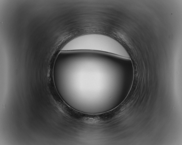 X0000087310548200704200720
