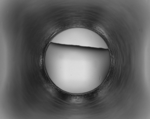 X0000087310549200704200720