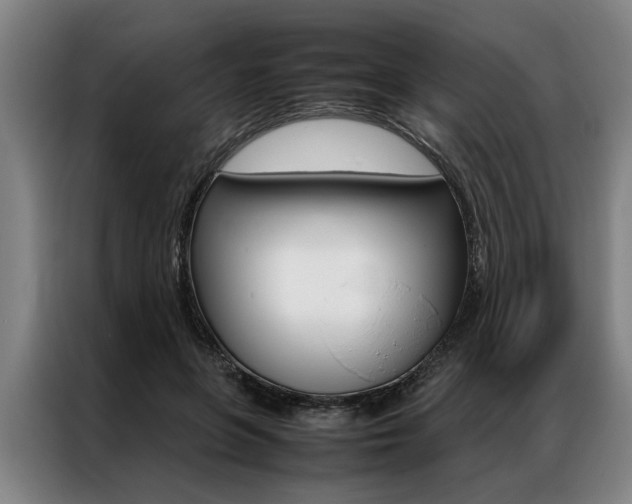 X0000087310551200704200720