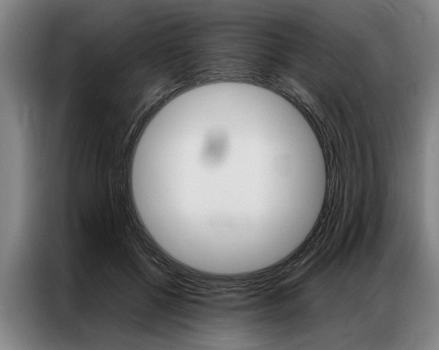 X0000087310552200704200720