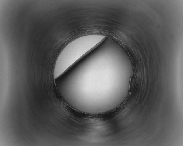 X0000087310555200704200720