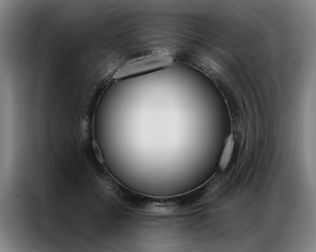 X0000087310556200704200720
