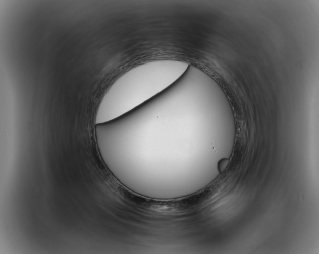X0000087310557200704200720