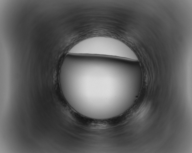 X0000087310559200704200720