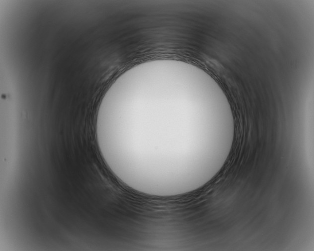 X0000087310560200704200720