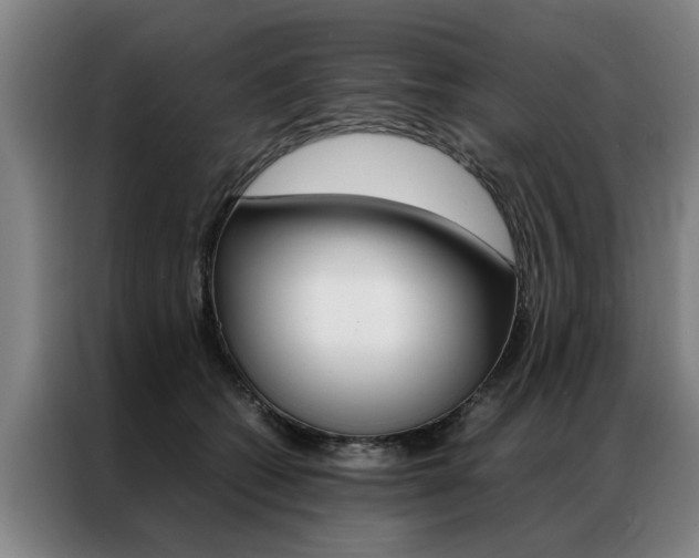 X0000087310562200704200720