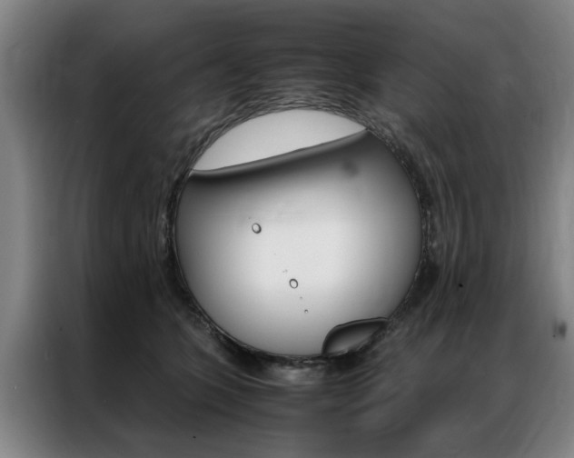 X0000087310563200704200720