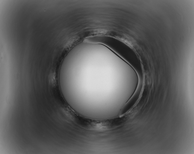 X0000087310564200704200720