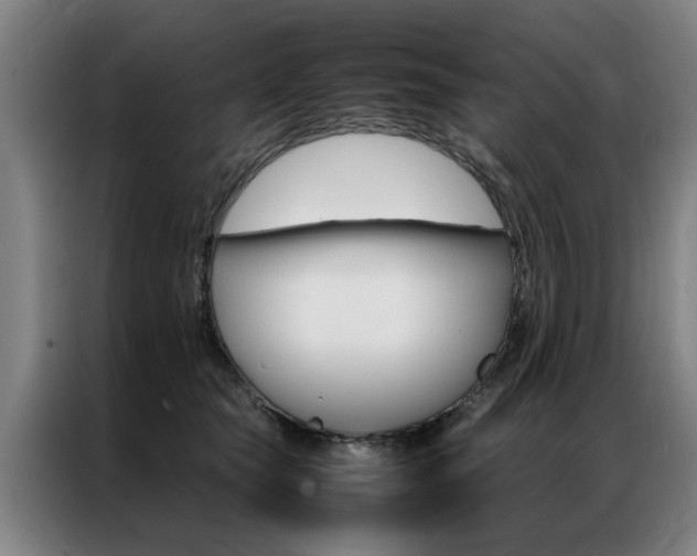 X0000087310565200704200720