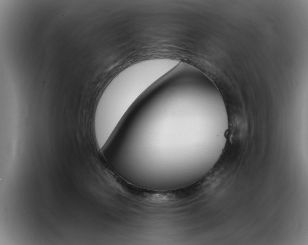 X0000087310566200704200720