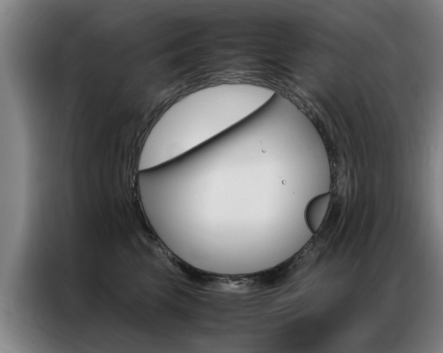 X0000087310569200704200720