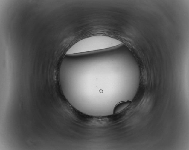 X0000087310571200704200720