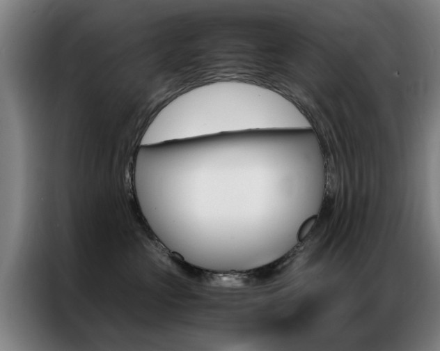 X0000087310573200704200720