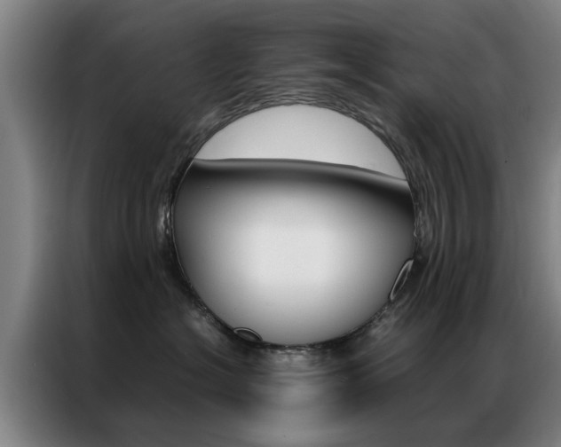 X0000087310574200704200720