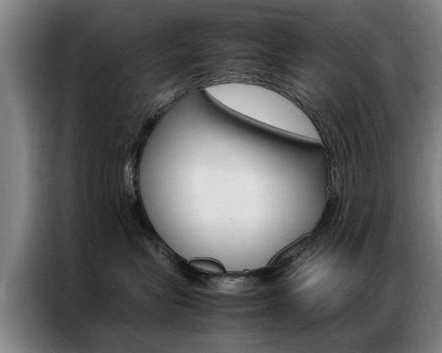 X0000087310575200704200720