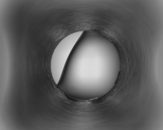 X0000087310576200704200720
