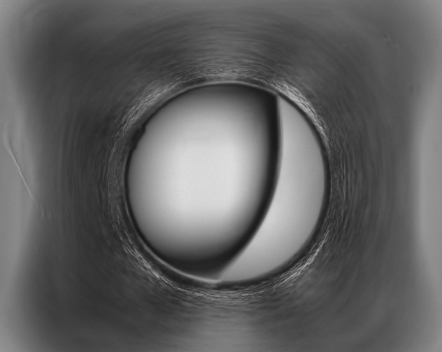 X0000087310577200704200720