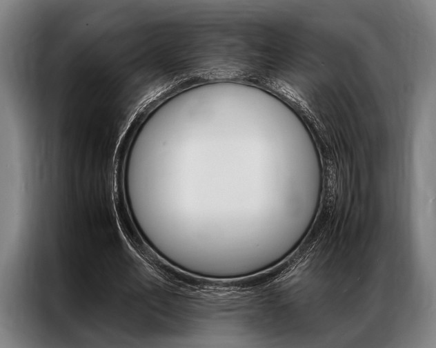 X0000087310582200704200720