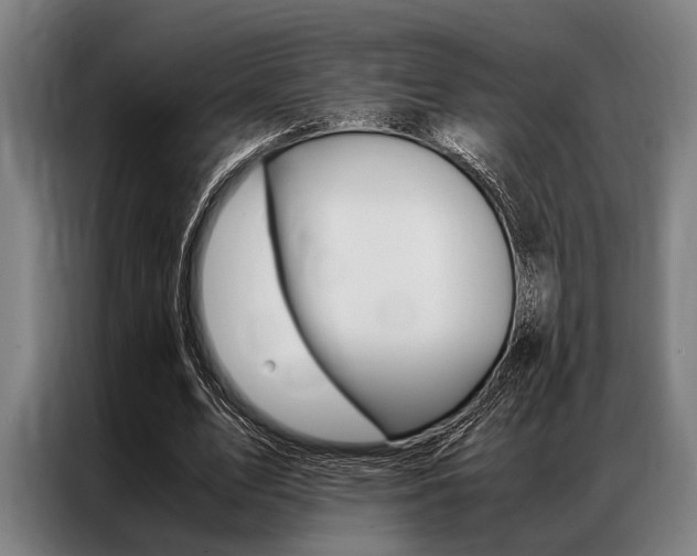 X0000087310583200704200720