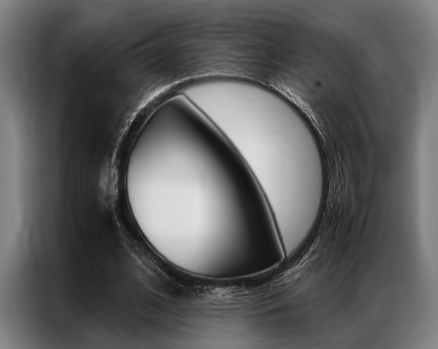 X0000087310584200704200720