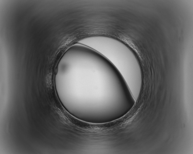 X0000087310585200704200720
