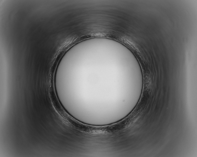 X0000087310586200704200720