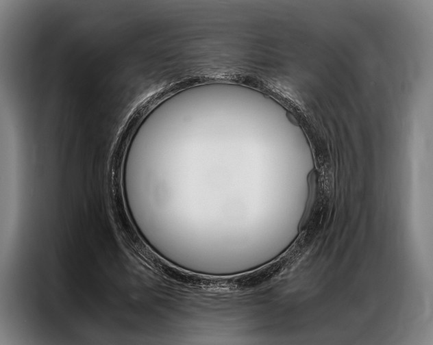 X0000087310587200704200720