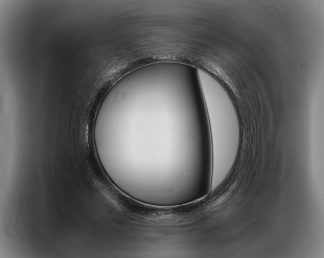 X0000087310589200704200720