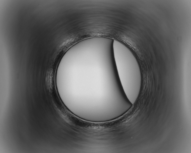 X0000087310590200704200720