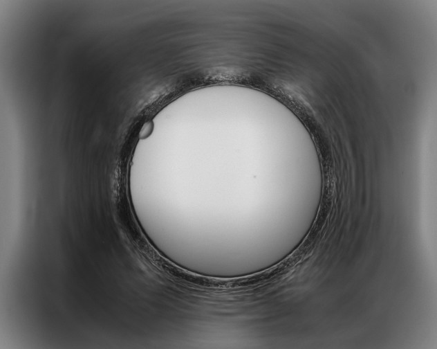X0000087310591200704200720