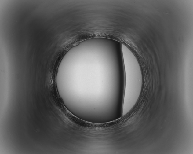 X0000087310593200704200720