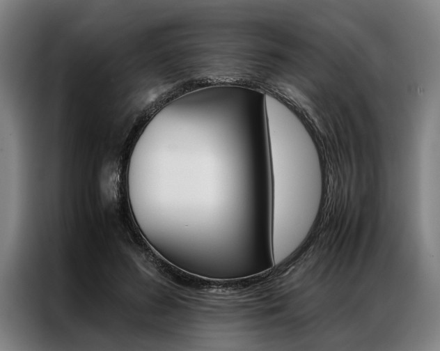 X0000087310596200704200719