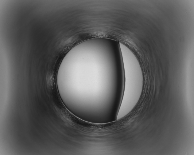 X0000087310597200704200719