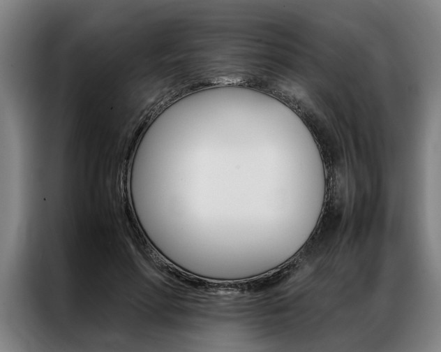 X0000087310598200704200719