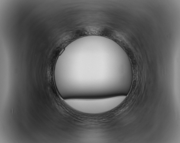 X0000087310599200704200719