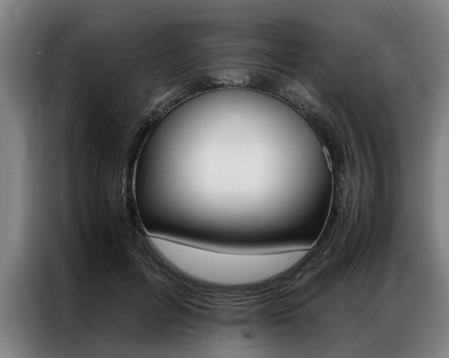 X0000087310600200704200719