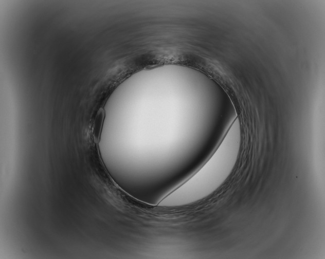 X0000087310601200704200719