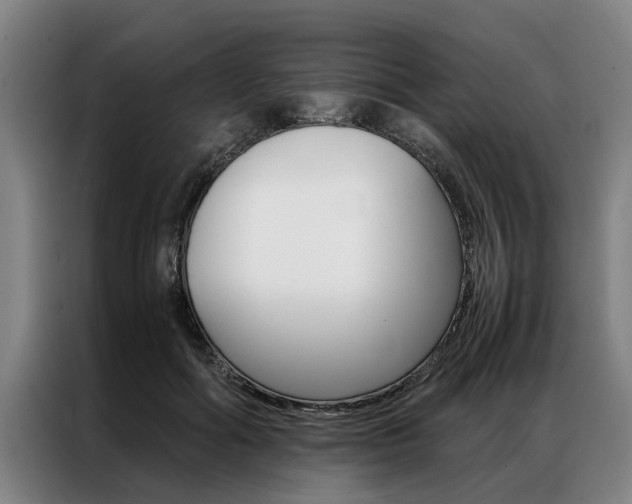 X0000087310602200704200719