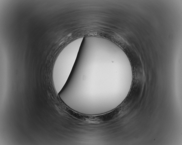 X0000087310603200704200719