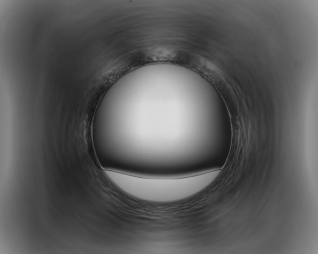X0000087310604200704200719