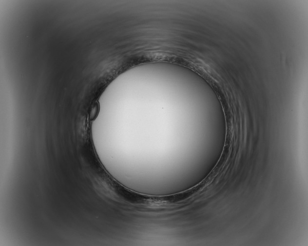 X0000087310605200704200719