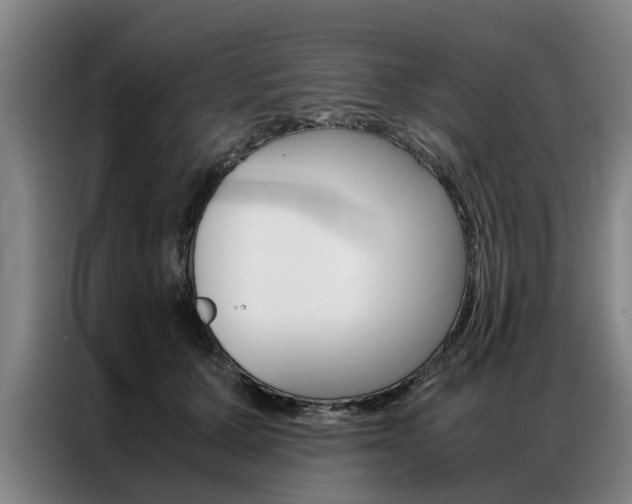 X0000087310607200704200719