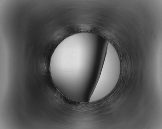 X0000087310608200704200719