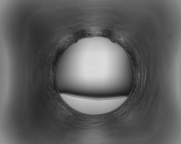 X0000087310609200704200719